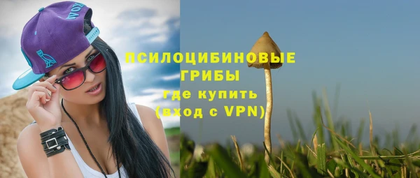 мдма Дмитриев