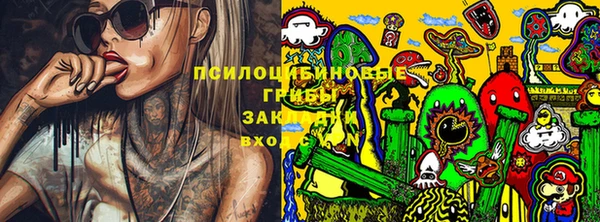 мдма Дмитриев
